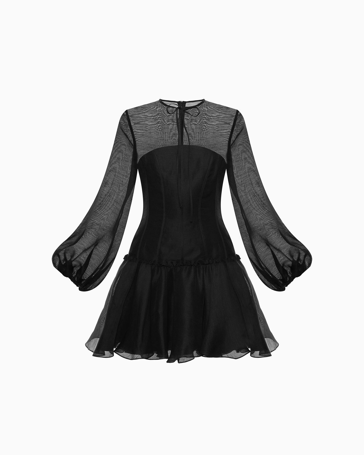 GLADIOLUS 1 GLADIOLUS