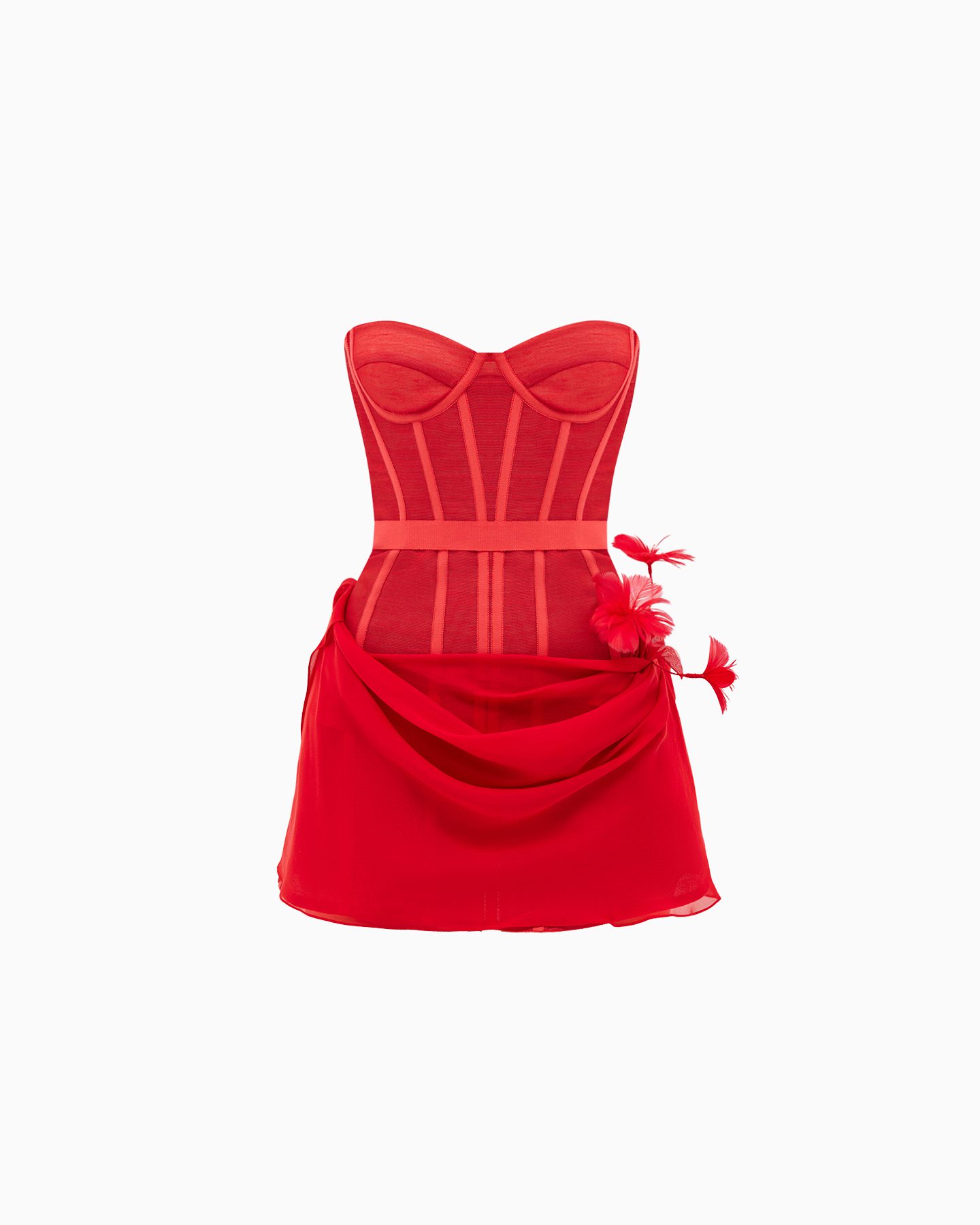 ELIZABETH BLOOM 1 ELIZABETH BLOOM