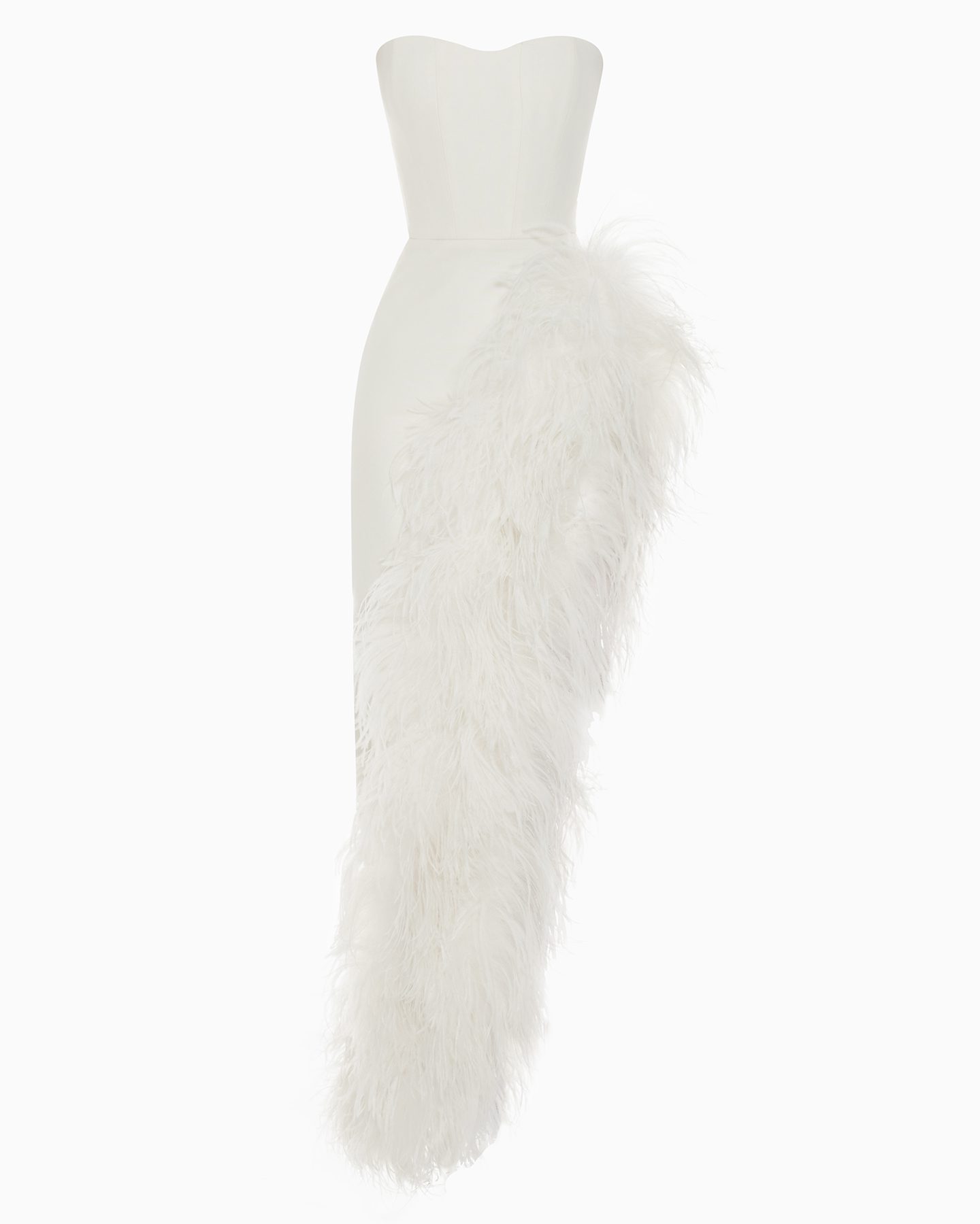 MATTHIOLA INCANA 1 MATTHIOLA INCANA