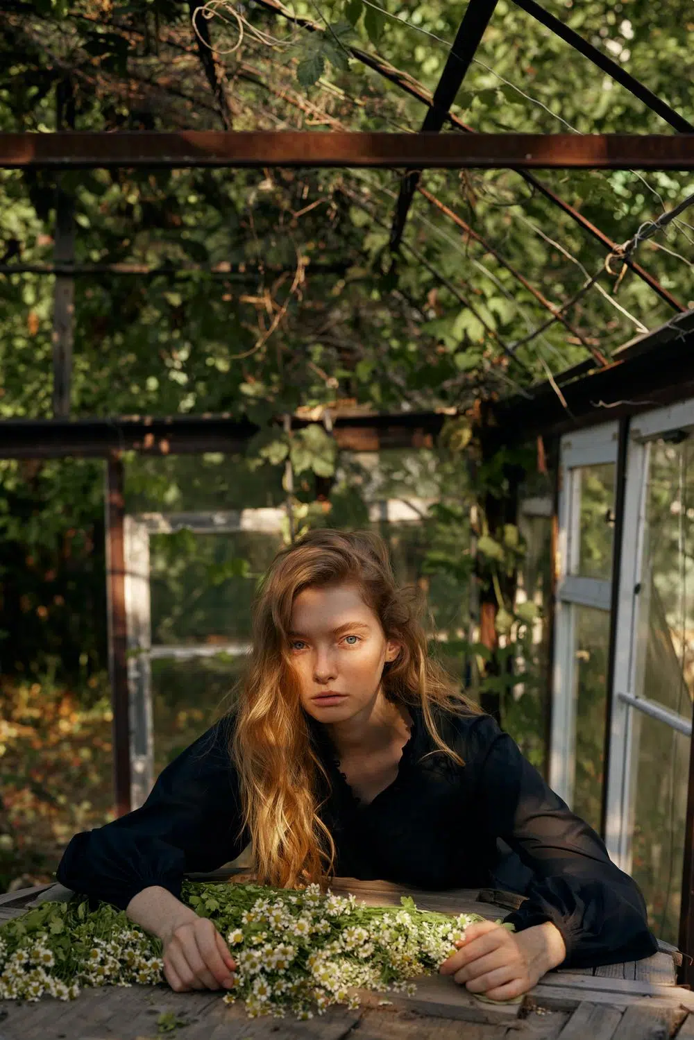 Secret Garden Collection