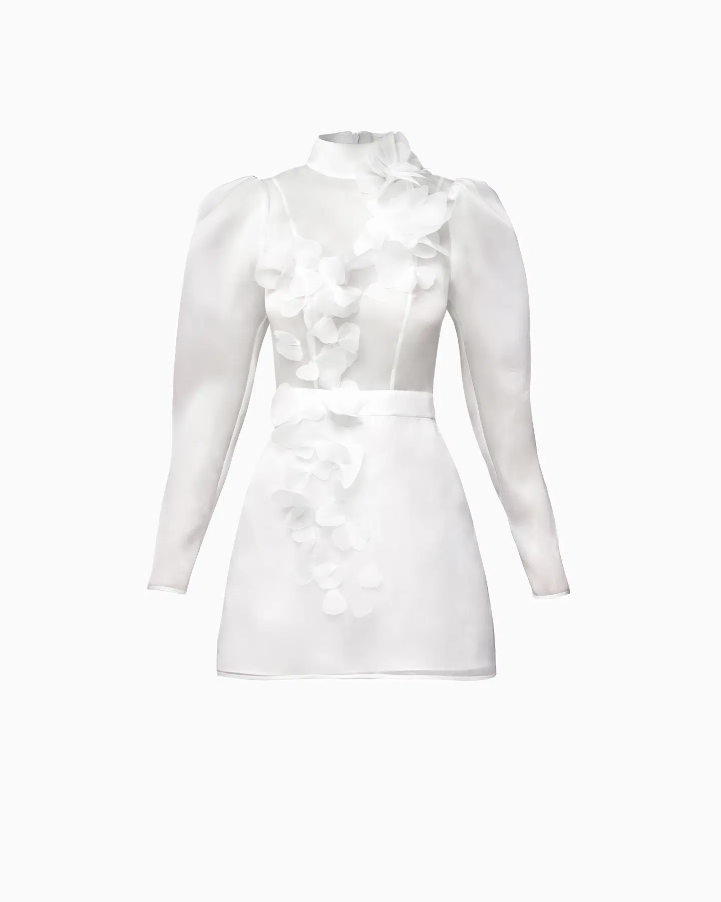 GYPSOPHILA 1 GYPSOPHILA