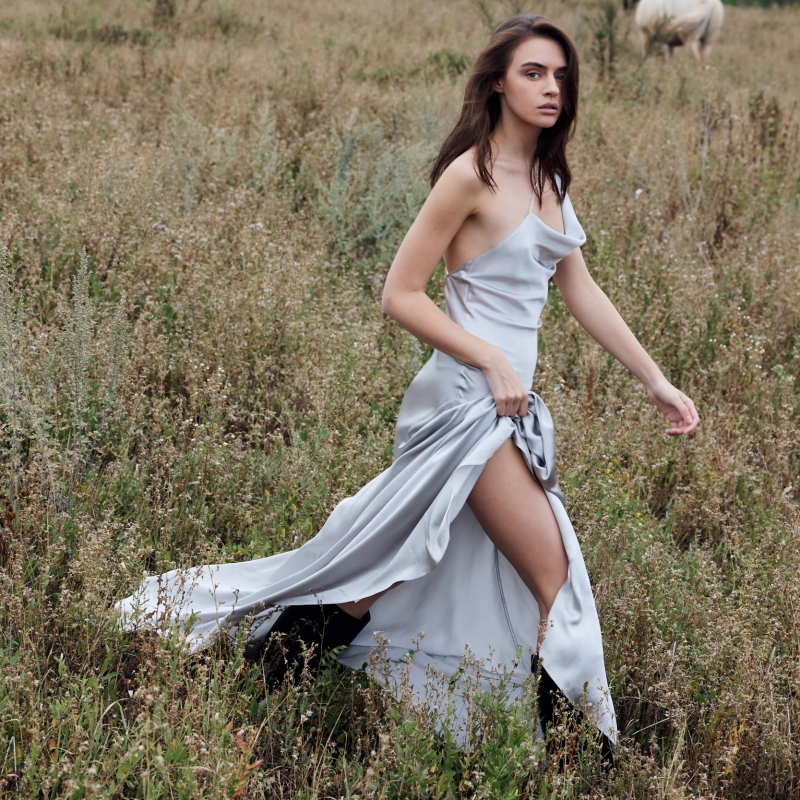 Wild Field