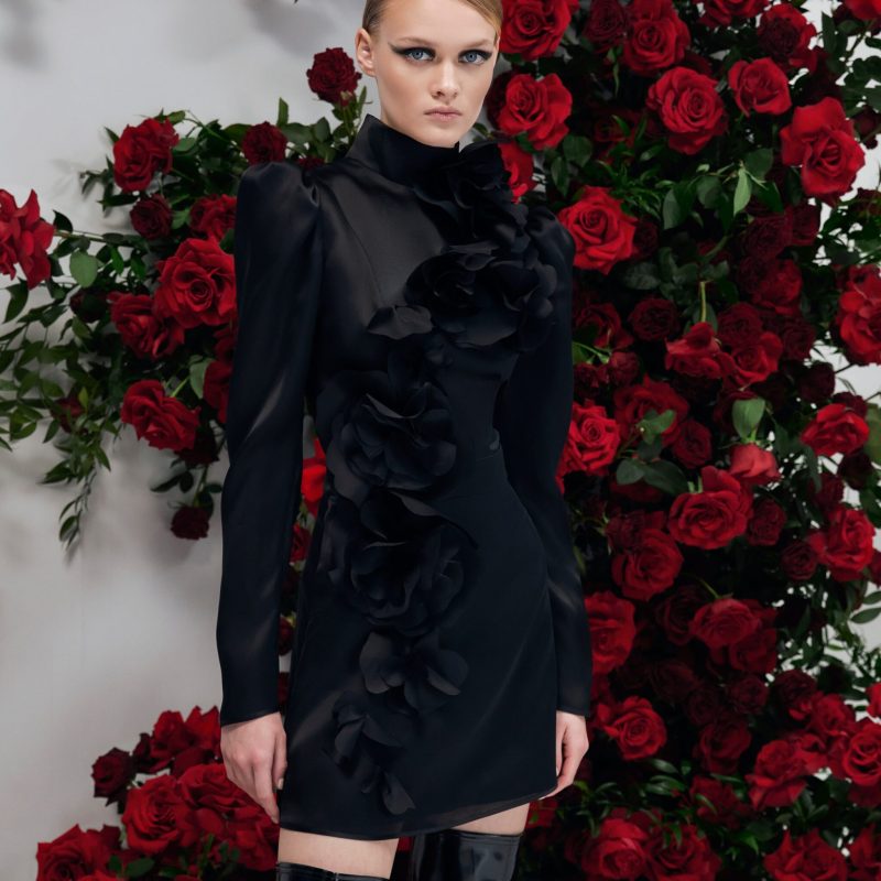 WINTER ROSE 36 WINTER ROSE